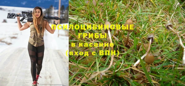 прущая мука Бородино