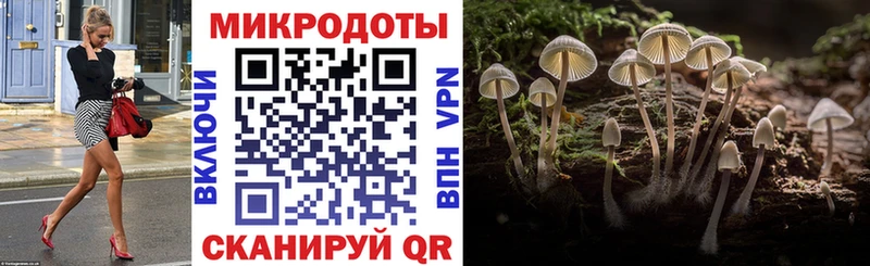 Галлюциногенные грибы Psilocybine cubensis Нарткала